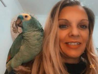 Quality tenant looking for rental Mornington Peninsula, Melbourne